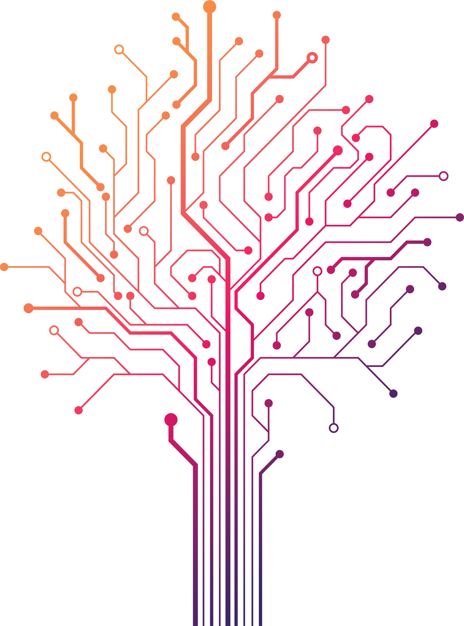Baum